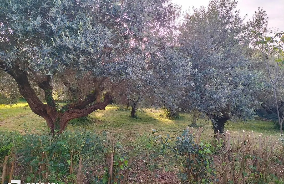 Casale del sole-1